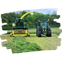 Conservación de Forrajes